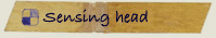 Sensing head